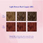 Permanent Hair Colour Set